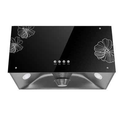 Campanas extractoras de techo